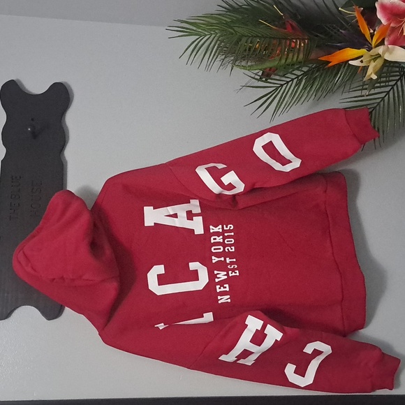 Pink Chicago Spellout Hoodie New Size XL - Picture 2 of 4